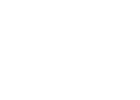 醤油仕立て 博多もつ鍋